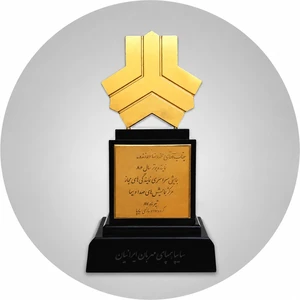نماینده برتر سایپا-1386